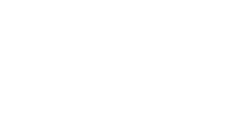 NetGes – Gesellschaft vernetzen